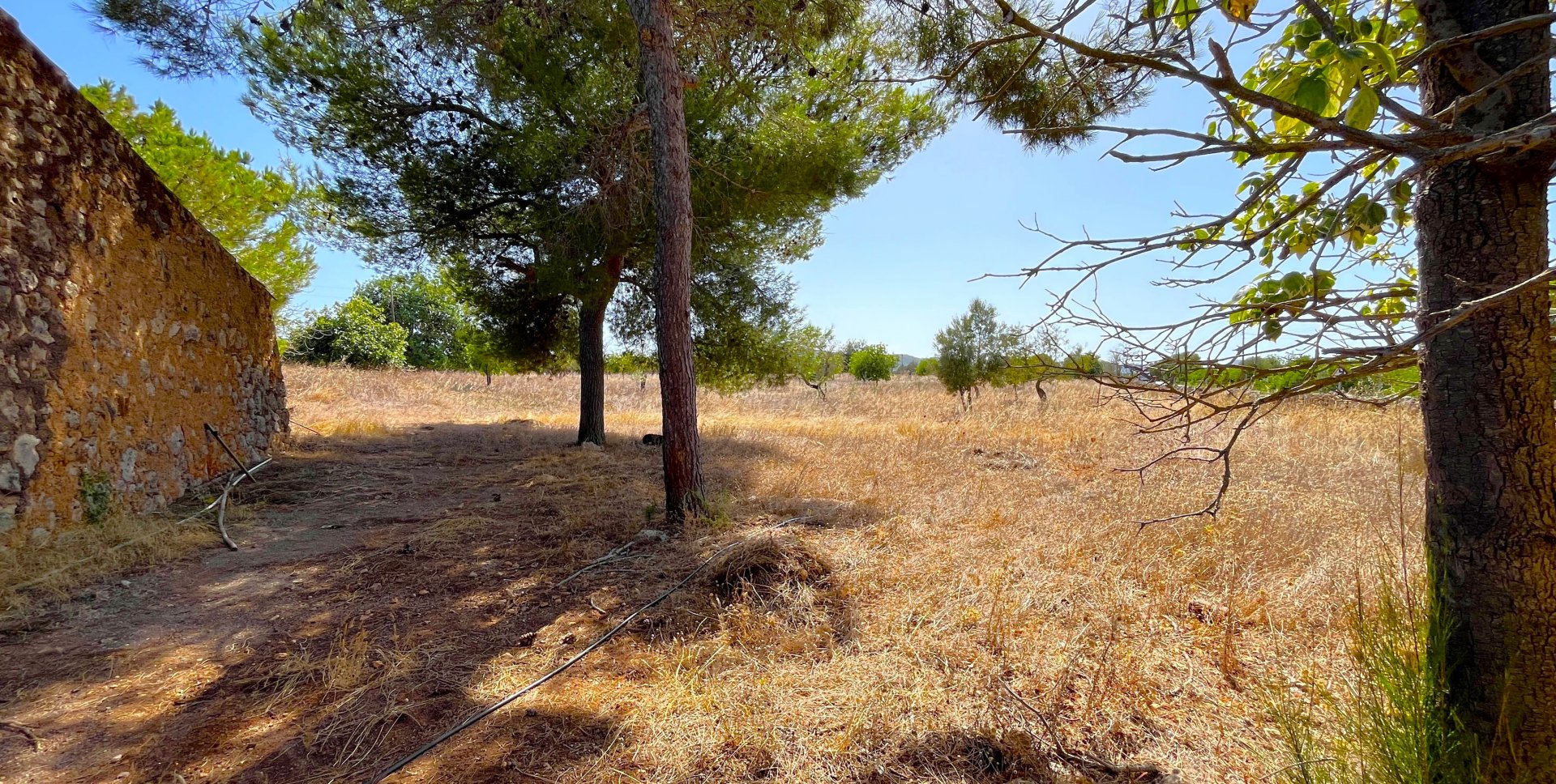 Terreno a Porto Cristo, Mallorca, Spagna 21476 mq. N° 129601