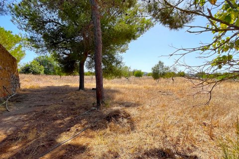 Land plot à vendre Porto Cristo, Mallorca, Espagne, 21476 m2 No. 129601 - photo 2