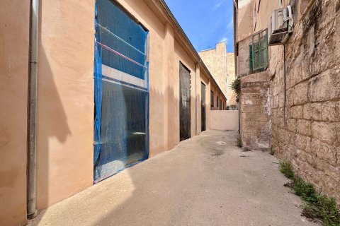 Commercial property à vendre Palma de Majorca, Mallorca, Espagne, 240 m2 No. 128263 - photo 4