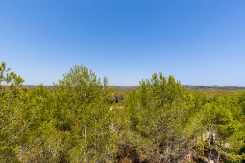 Huoneisto myytävänä Dehesa De Campoamor, Alicante, Espanja, 2 makuuhuonetta, 175 m2 No. 120111 - kuva 30