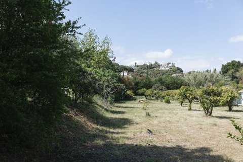 Продажа земельного участка в Эстепона, Малага, Испания №122755 - фото 5