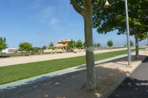 Appartamento in vendita Pilar de la Horadada, Alicante, Spagna 3 camere da letto, 114 mq. N° 120363 - foto 15
